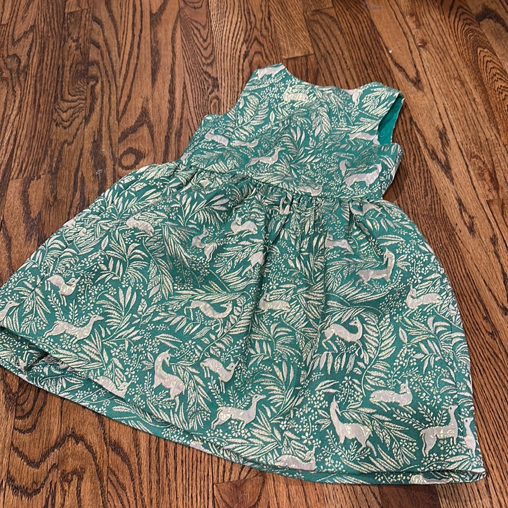 Crewcuts Dress